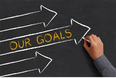 Our project goal
